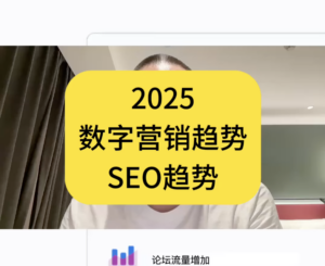 2025年 数字营销 SEO趋势 流量趋势 跨境电商用户获取趋势